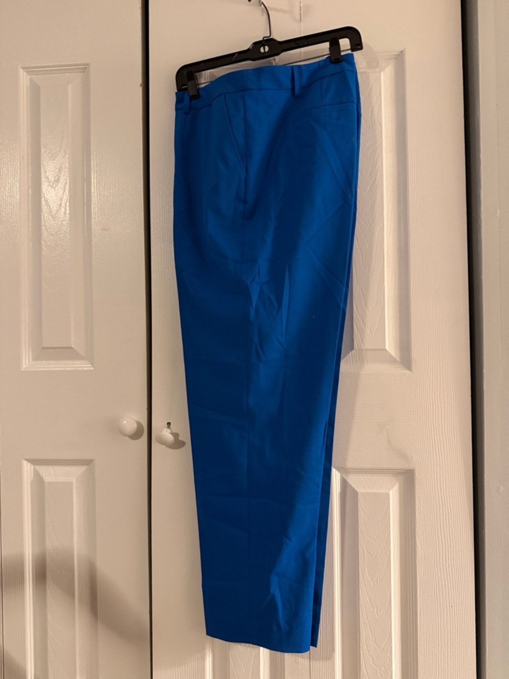 Jones New York Signature Bright Blue Crop Pants, 14W, NWT